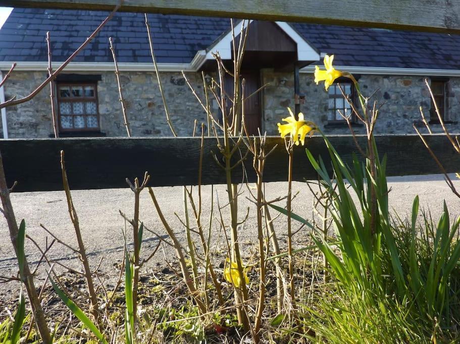 The Hill Cottage Galway Exterior foto